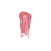 Imagen de BRILLO LABIAL  JOY