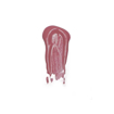 Imagen de BRILLO LABIAL  FANTASY